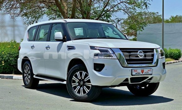 Buy Import Nissan Patrol White Car in Import - Dubai in Aragatsotn