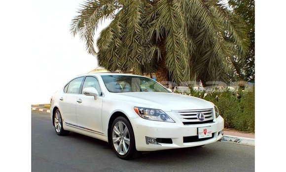 Buy Import Lexus LS White Car in Import - Dubai in Aragatsotn