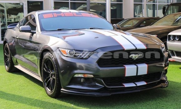Buy Import Ford Mustang Other Car in Import - Dubai in Aragatsotn