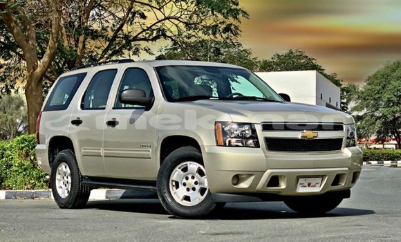 Buy Import Chevrolet Tahoe Other Car in Import - Dubai in Aragatsotn