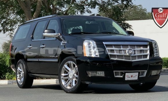 Buy Import Cadillac Escalade Black Car in Import - Dubai in Aragatsotn Buy Import Cadillac Escalade Black Car in Import - Dubai in Aragatsotn