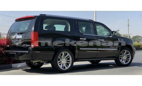 Buy Import Cadillac Escalade Black Car in Import - Dubai in Aragatsotn Buy Import Cadillac Escalade Black Car in Import - Dubai in Aragatsotn