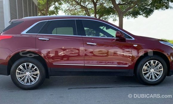 Buy Import Cadillac XT5 Red Car in Import - Dubai in Aragatsotn Buy Import Cadillac XT5 Red Car in Import - Dubai in Aragatsotn