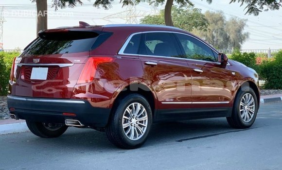 Buy Import Cadillac XT5 Red Car in Import - Dubai in Aragatsotn Buy Import Cadillac XT5 Red Car in Import - Dubai in Aragatsotn