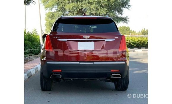 Buy Import Cadillac XT5 Red Car in Import - Dubai in Aragatsotn Buy Import Cadillac XT5 Red Car in Import - Dubai in Aragatsotn