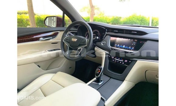 Buy Import Cadillac XT5 Red Car in Import - Dubai in Aragatsotn Buy Import Cadillac XT5 Red Car in Import - Dubai in Aragatsotn