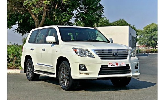 Buy Import Lexus LX White Car in Import - Dubai in Aragatsotn Buy Import Lexus LX White Car in Import - Dubai in Aragatsotn