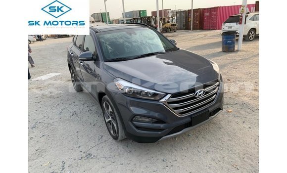 Buy Import Hyundai Tucson Other Car in Import - Dubai in Aragatsotn