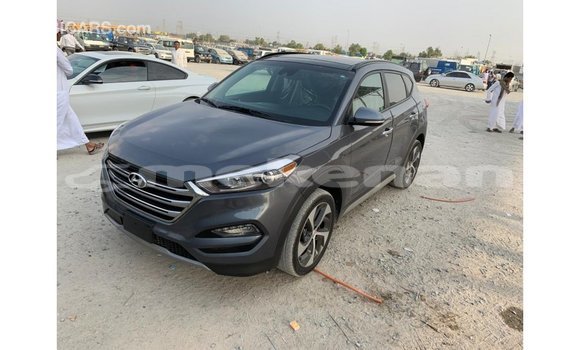 Buy Import Hyundai Tucson Other Car in Import - Dubai in Aragatsotn Buy Import Hyundai Tucson Other Car in Import - Dubai in Aragatsotn