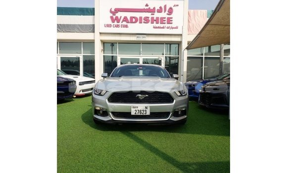 Buy Import Ford Mustang Other Car in Import - Dubai in Aragatsotn