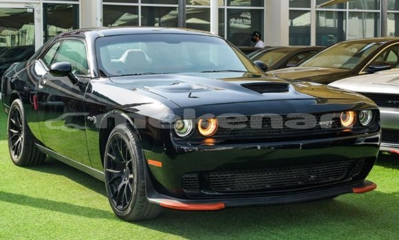 Buy Import Dodge Challenger Black Car in Import - Dubai in Aragatsotn