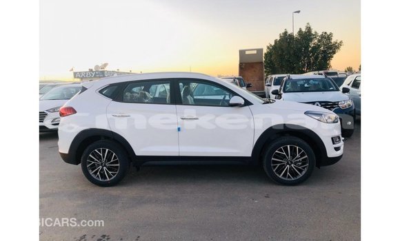 Buy Import Hyundai Tucson White Car in Import - Dubai in Aragatsotn Buy Import Hyundai Tucson White Car in Import - Dubai in Aragatsotn