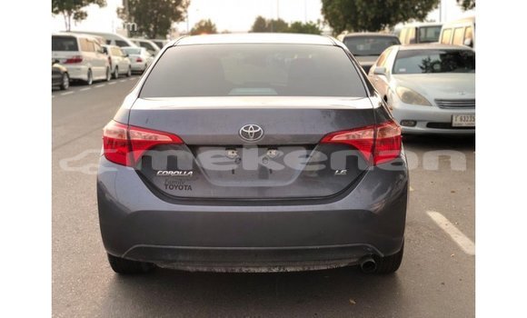 Buy Import Toyota Corolla Other Car in Import - Dubai in Aragatsotn Buy Import Toyota Corolla Other Car in Import - Dubai in Aragatsotn