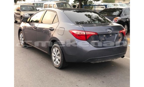 Buy Import Toyota Corolla Other Car in Import - Dubai in Aragatsotn Buy Import Toyota Corolla Other Car in Import - Dubai in Aragatsotn