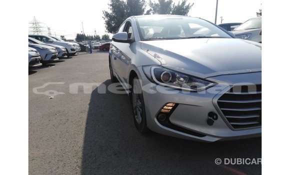 Buy Import Hyundai Elantra Other Car in Import - Dubai in Aragatsotn Buy Import Hyundai Elantra Other Car in Import - Dubai in Aragatsotn