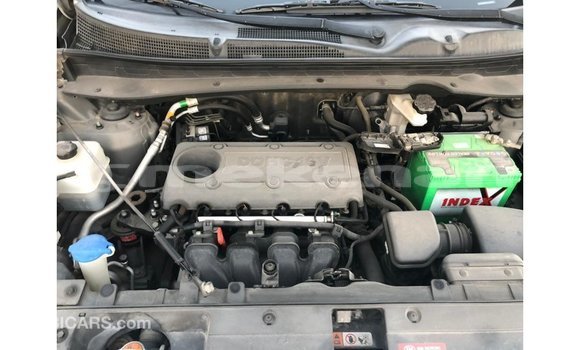 Buy Import Kia Sportage Other Car in Import - Dubai in Aragatsotn Buy Import Kia Sportage Other Car in Import - Dubai in Aragatsotn