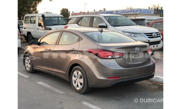 Buy Import Hyundai Elantra Brown Car in Import - Dubai in Aragatsotn Buy Import Hyundai Elantra Brown Car in Import - Dubai in Aragatsotn