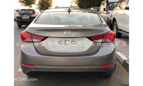 Buy Import Hyundai Elantra Brown Car in Import - Dubai in Aragatsotn Buy Import Hyundai Elantra Brown Car in Import - Dubai in Aragatsotn