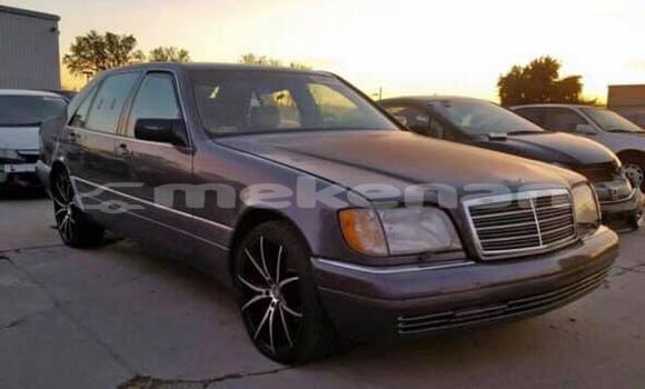 Buy Used Mercedes-Benz S-klasse Other Car in Armavir in Armavir