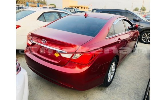 Buy Import Hyundai Sonata Red Car in Import - Dubai in Aragatsotn Buy Import Hyundai Sonata Red Car in Import - Dubai in Aragatsotn