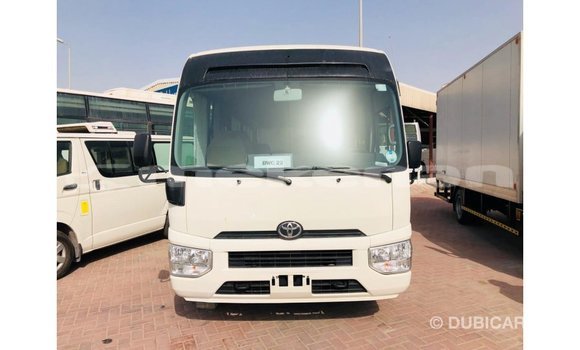 Buy Import Toyota Coaster White Car in Import - Dubai in Aragatsotn Buy Import Toyota Coaster White Car in Import - Dubai in Aragatsotn