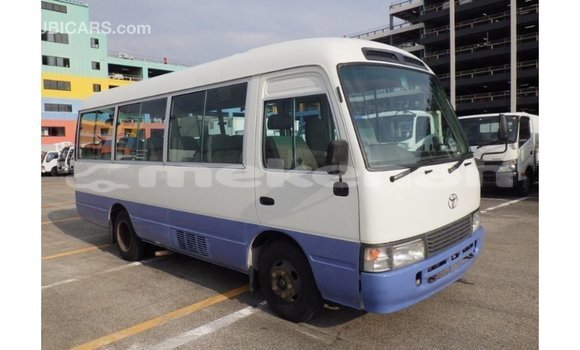 Buy Import Toyota Coaster White Car in Import - Dubai in Aragatsotn Buy Import Toyota Coaster White Car in Import - Dubai in Aragatsotn