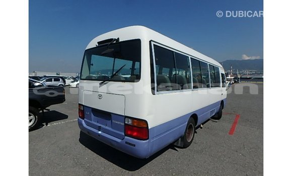 Buy Import Toyota Coaster White Car in Import - Dubai in Aragatsotn Buy Import Toyota Coaster White Car in Import - Dubai in Aragatsotn