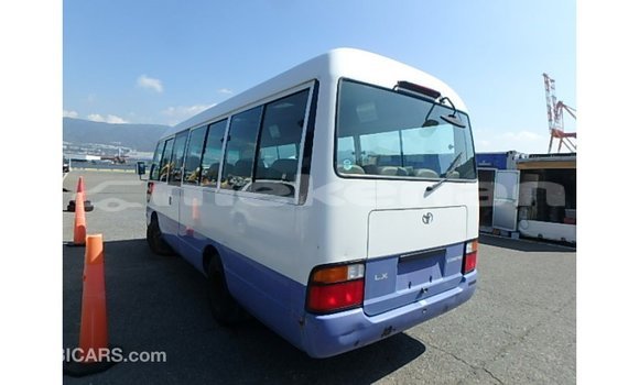 Buy Import Toyota Coaster White Car in Import - Dubai in Aragatsotn Buy Import Toyota Coaster White Car in Import - Dubai in Aragatsotn