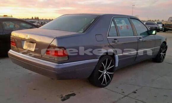 Buy Used Mercedes-Benz S-klasse Other Car in Armavir in Armavir Buy Used Mercedes-Benz S-klasse Other Car in Armavir in Armavir