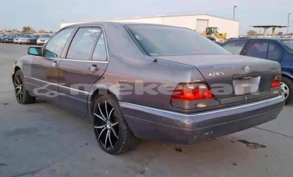 Buy Used Mercedes-Benz S-klasse Other Car in Armavir in Armavir Buy Used Mercedes-Benz S-klasse Other Car in Armavir in Armavir