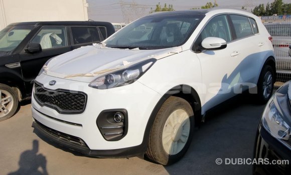 Buy Import Kia Sportage White Car in Import - Dubai in Aragatsotn Buy Import Kia Sportage White Car in Import - Dubai in Aragatsotn