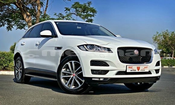 Buy Import Jaguar F-Pace White Car in Import - Dubai in Aragatsotn