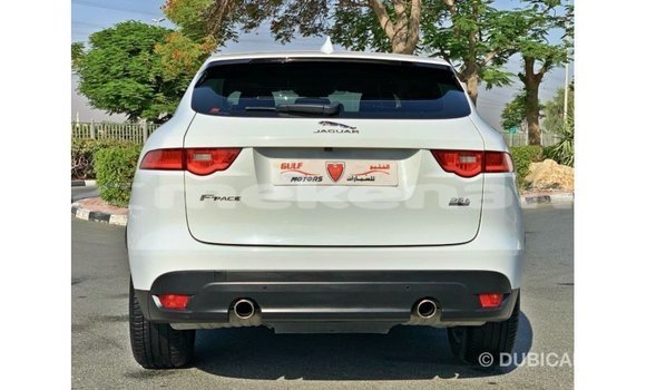 Buy Import Jaguar F-Pace White Car in Import - Dubai in Aragatsotn Buy Import Jaguar F-Pace White Car in Import - Dubai in Aragatsotn