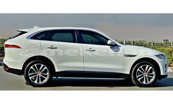 Buy Import Jaguar F-Pace White Car in Import - Dubai in Aragatsotn Buy Import Jaguar F-Pace White Car in Import - Dubai in Aragatsotn