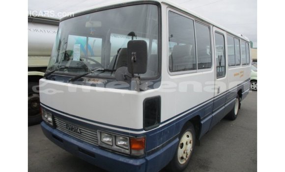 Buy Import Toyota Coaster White Car in Import - Dubai in Aragatsotn Buy Import Toyota Coaster White Car in Import - Dubai in Aragatsotn