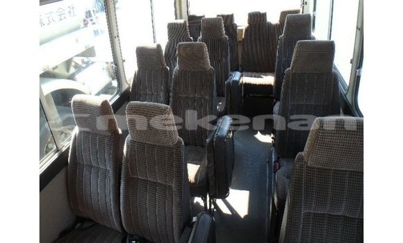 Buy Import Toyota Coaster White Car in Import - Dubai in Aragatsotn Buy Import Toyota Coaster White Car in Import - Dubai in Aragatsotn