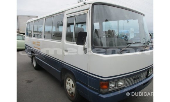 Buy Import Toyota Coaster White Car in Import - Dubai in Aragatsotn Buy Import Toyota Coaster White Car in Import - Dubai in Aragatsotn