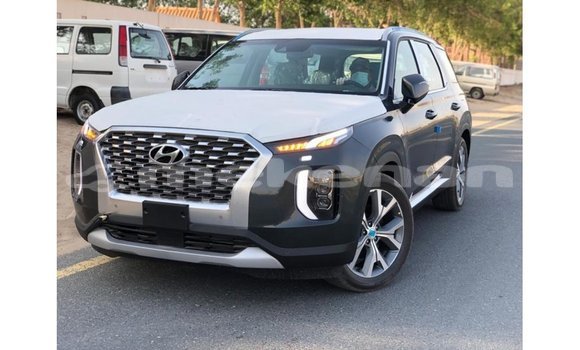 Buy Import Hyundai Chorus Other Truck in Import - Dubai in Aragatsotn