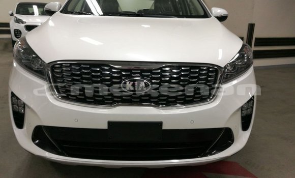 Buy Import Kia Sorento White Car in Import - Dubai in Aragatsotn