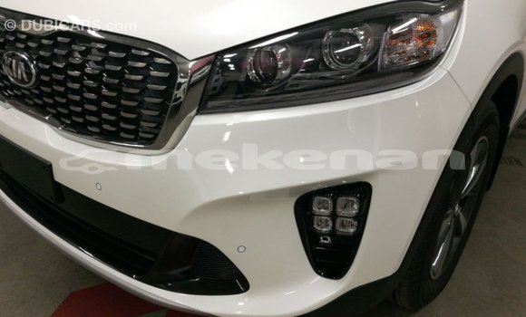 Buy Import Kia Sorento White Car in Import - Dubai in Aragatsotn Buy Import Kia Sorento White Car in Import - Dubai in Aragatsotn