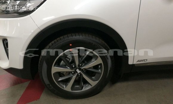 Buy Import Kia Sorento White Car in Import - Dubai in Aragatsotn Buy Import Kia Sorento White Car in Import - Dubai in Aragatsotn