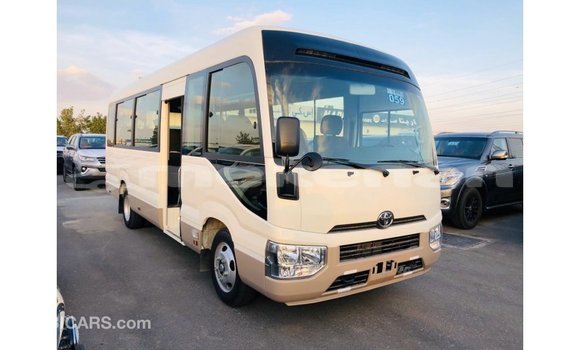 Buy Import Toyota Coaster White Car in Import - Dubai in Aragatsotn Buy Import Toyota Coaster White Car in Import - Dubai in Aragatsotn