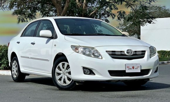 Buy Import Toyota Corolla White Car in Import - Dubai in Aragatsotn Buy Import Toyota Corolla White Car in Import - Dubai in Aragatsotn