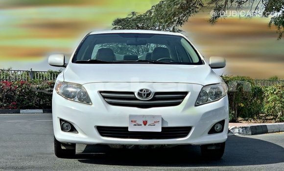 Buy Import Toyota Corolla White Car in Import - Dubai in Aragatsotn Buy Import Toyota Corolla White Car in Import - Dubai in Aragatsotn