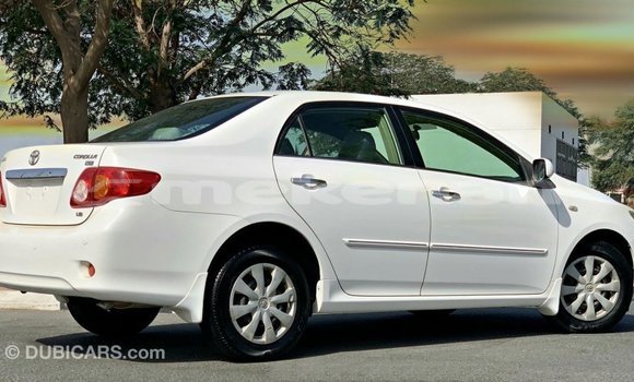 Buy Import Toyota Corolla White Car in Import - Dubai in Aragatsotn Buy Import Toyota Corolla White Car in Import - Dubai in Aragatsotn