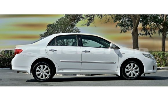 Buy Import Toyota Corolla White Car in Import - Dubai in Aragatsotn Buy Import Toyota Corolla White Car in Import - Dubai in Aragatsotn