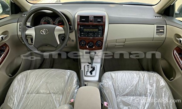 Buy Import Toyota Corolla White Car in Import - Dubai in Aragatsotn Buy Import Toyota Corolla White Car in Import - Dubai in Aragatsotn