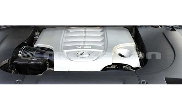 Buy Import Lexus LX White Car in Import - Dubai in Aragatsotn Buy Import Lexus LX White Car in Import - Dubai in Aragatsotn