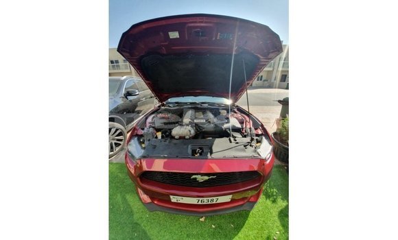Buy Import Ford Mustang Red Car in Import - Dubai in Aragatsotn Buy Import Ford Mustang Red Car in Import - Dubai in Aragatsotn