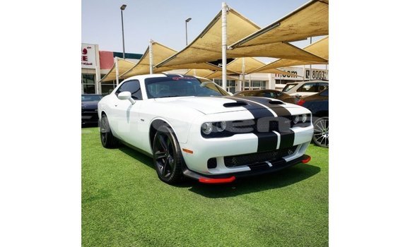 Buy Import Dodge Challenger White Car in Import - Dubai in Aragatsotn Buy Import Dodge Challenger White Car in Import - Dubai in Aragatsotn